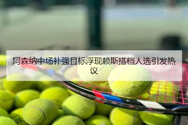 阿森纳中场补强目标浮现赖斯搭档人选引发热议